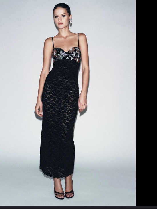 Zara Dresses & Skirts - Zara lace embroidery midi dress